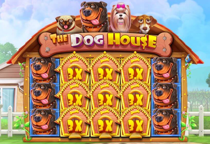 Dog House